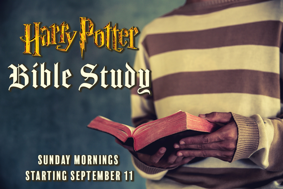 Young Professionals The Cathedral of St. Philip Atlanta, (GA)